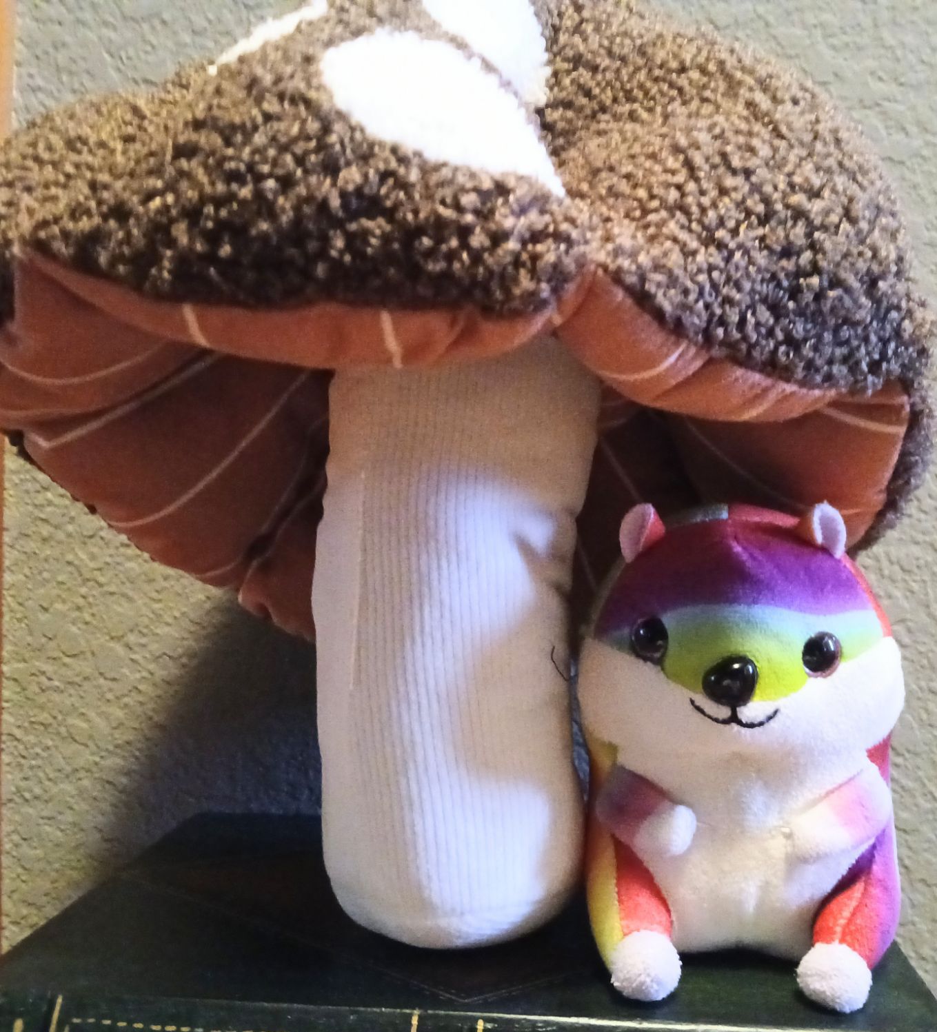 What is happening in November?