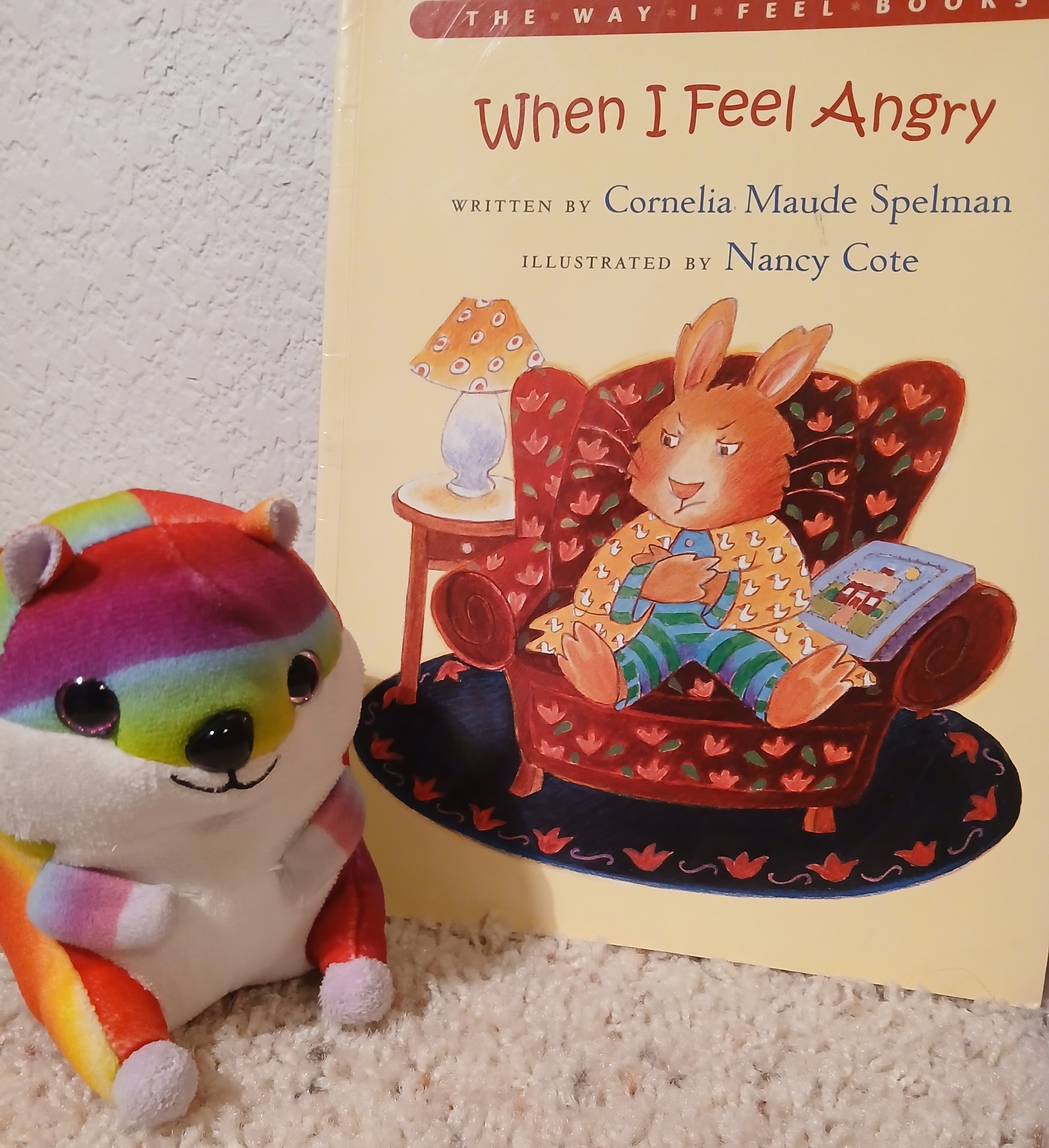 Book Nook- When I Feel Angry