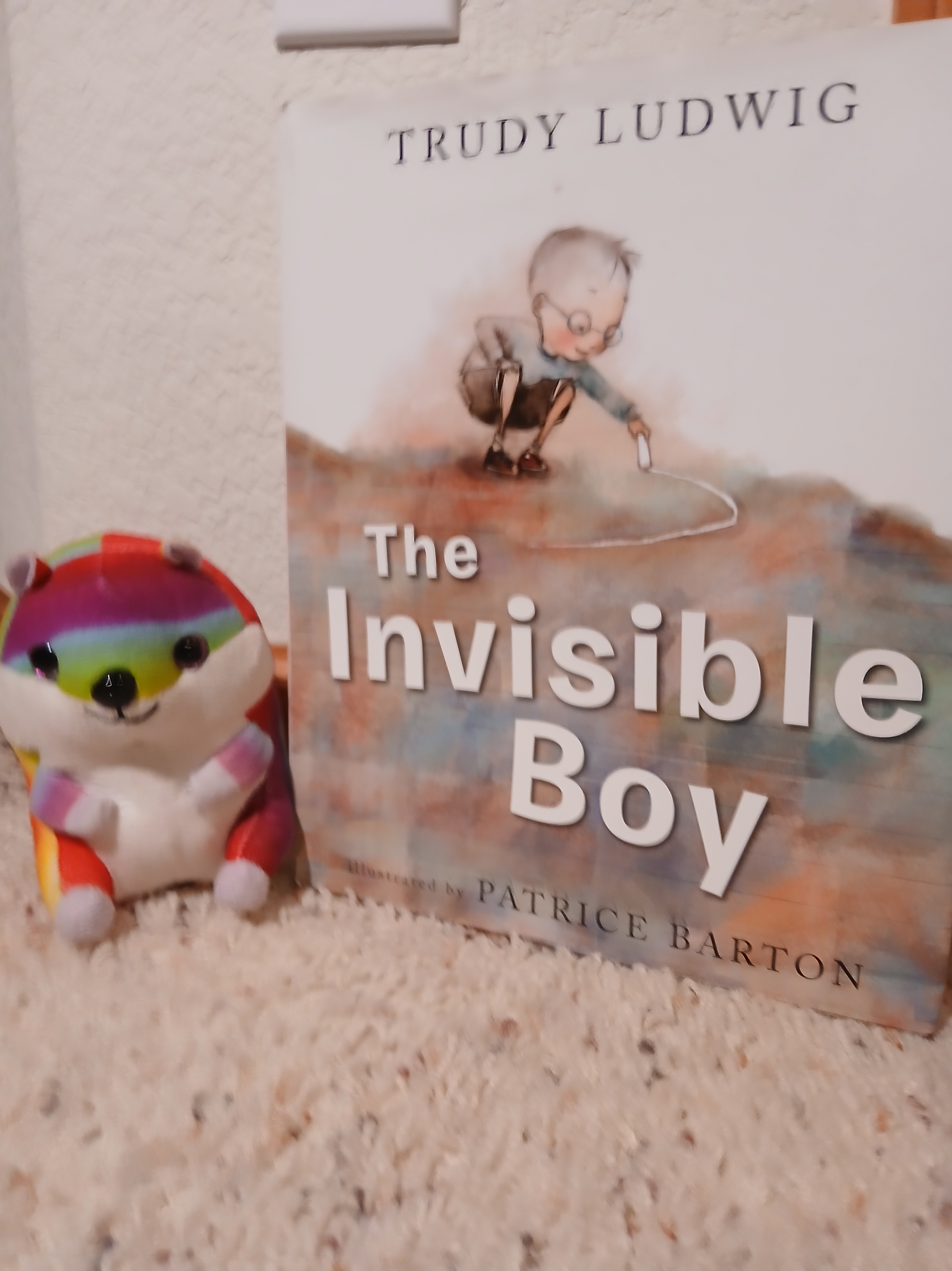 Book Nook: The Invisible Boy