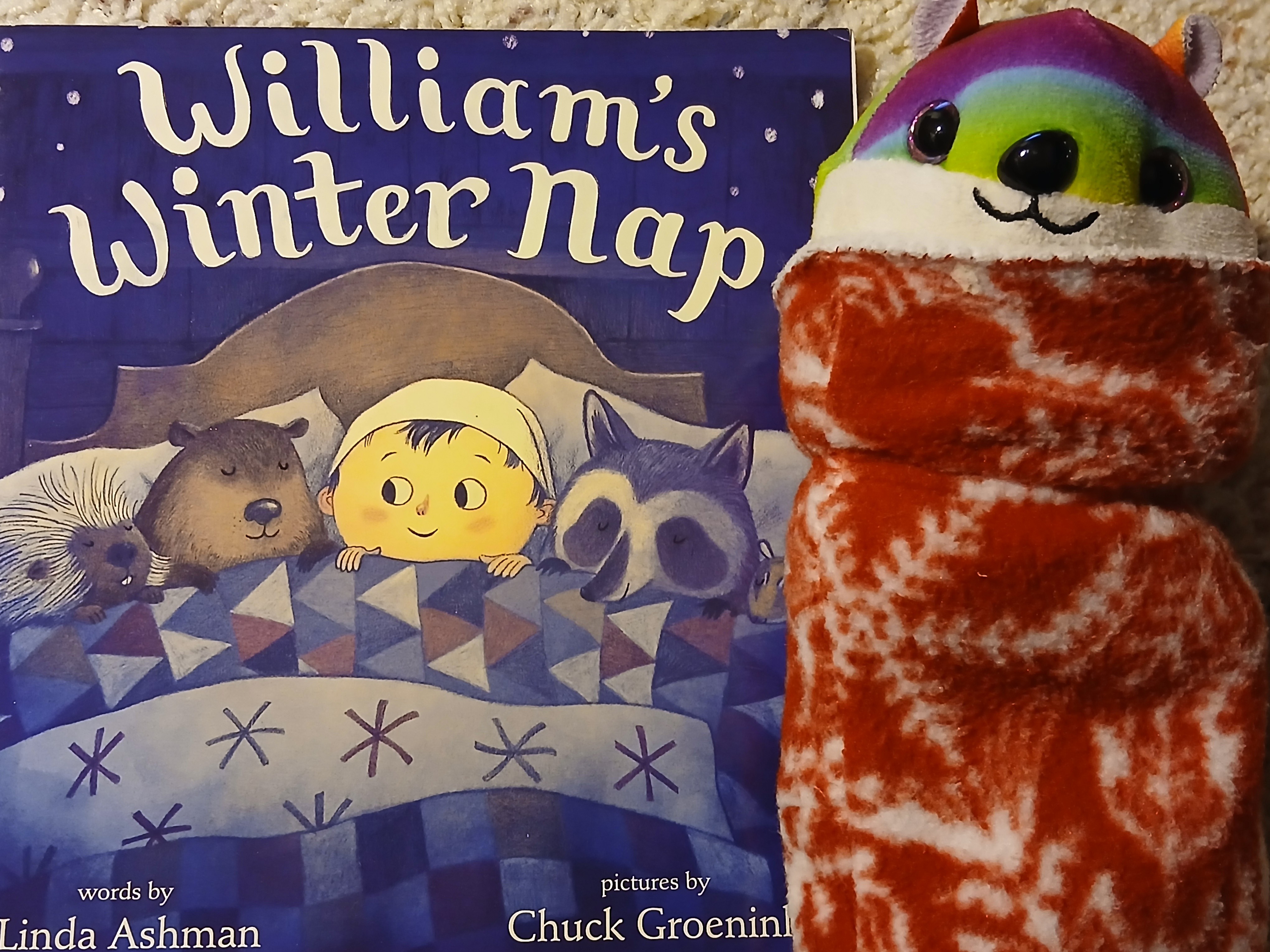 Book Nook-double edition